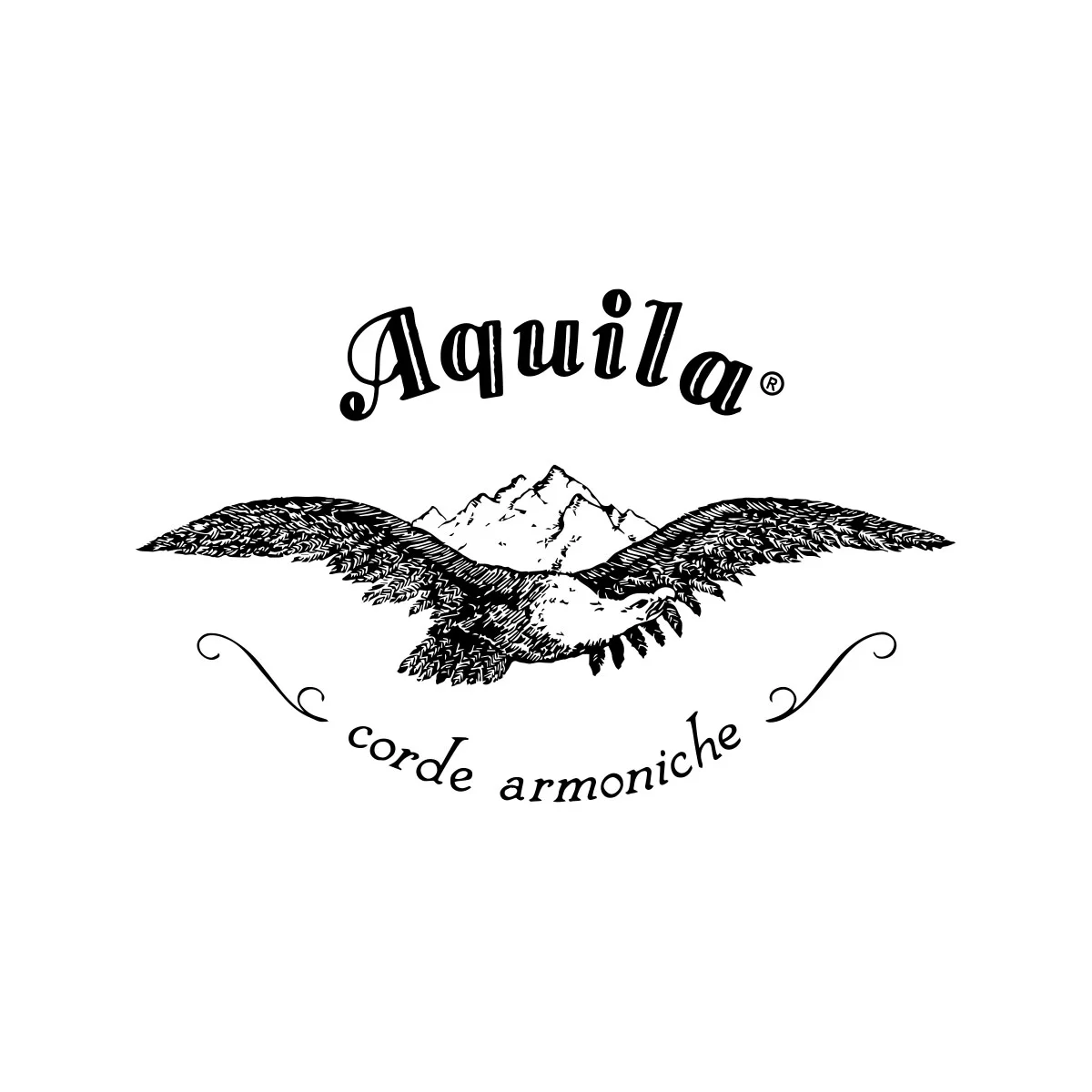 Aquila