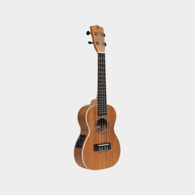 Stagg UC-30 E